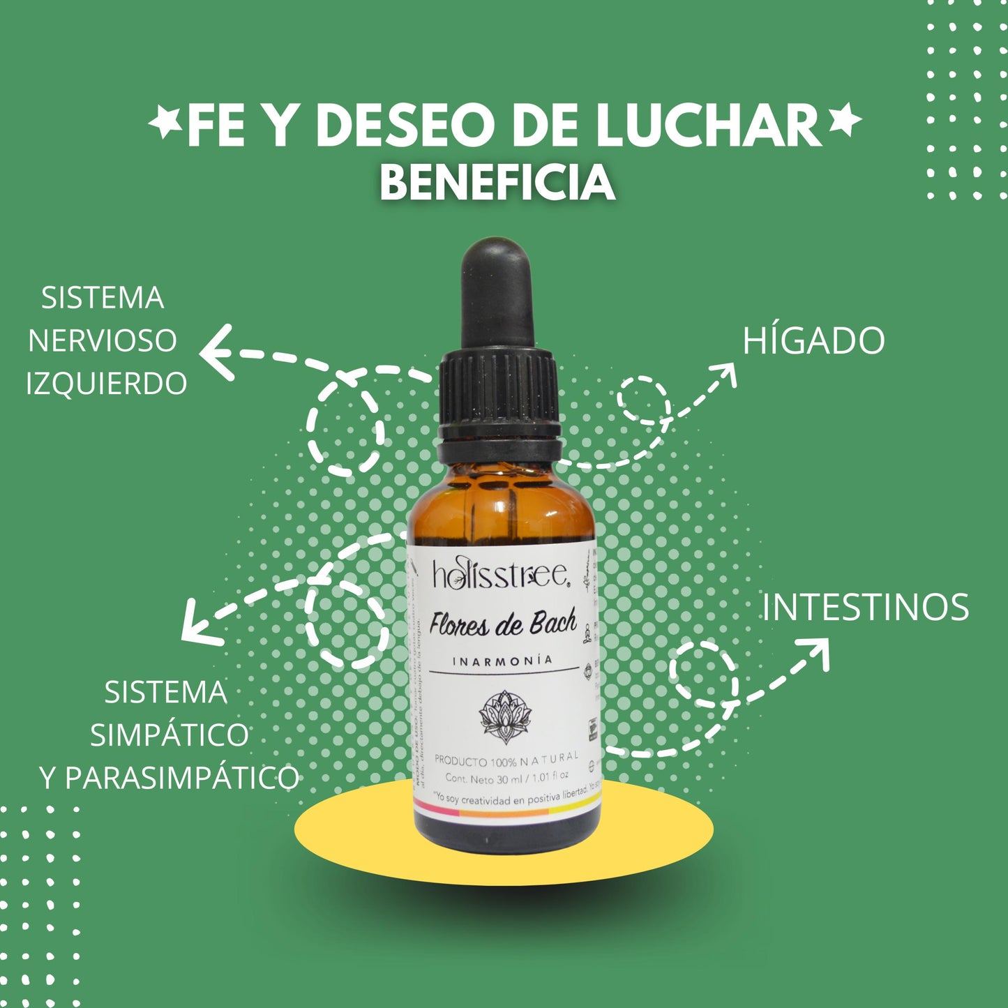 Flores De Bach Fé y Deseo de Luchar | 30ml