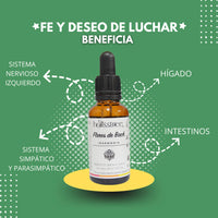 Flores De Bach Fé y Deseo de Luchar | 30ml